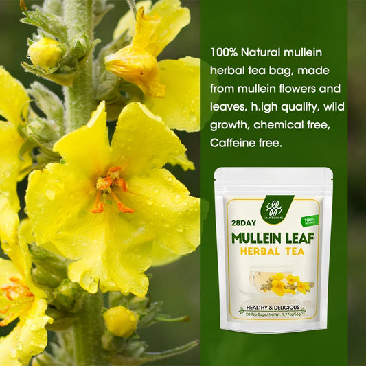 Mullein Leaf Extract Supplement- Herbal Respiratory Supplement - for Lung Cleanse,Support Better Respiratory & Immune Function